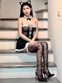 �͂�i�^�C�j